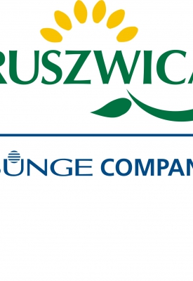logo Kruszwica